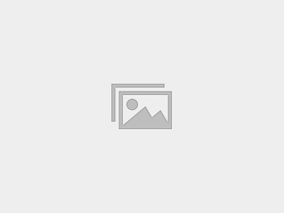 ChatGPT for Business